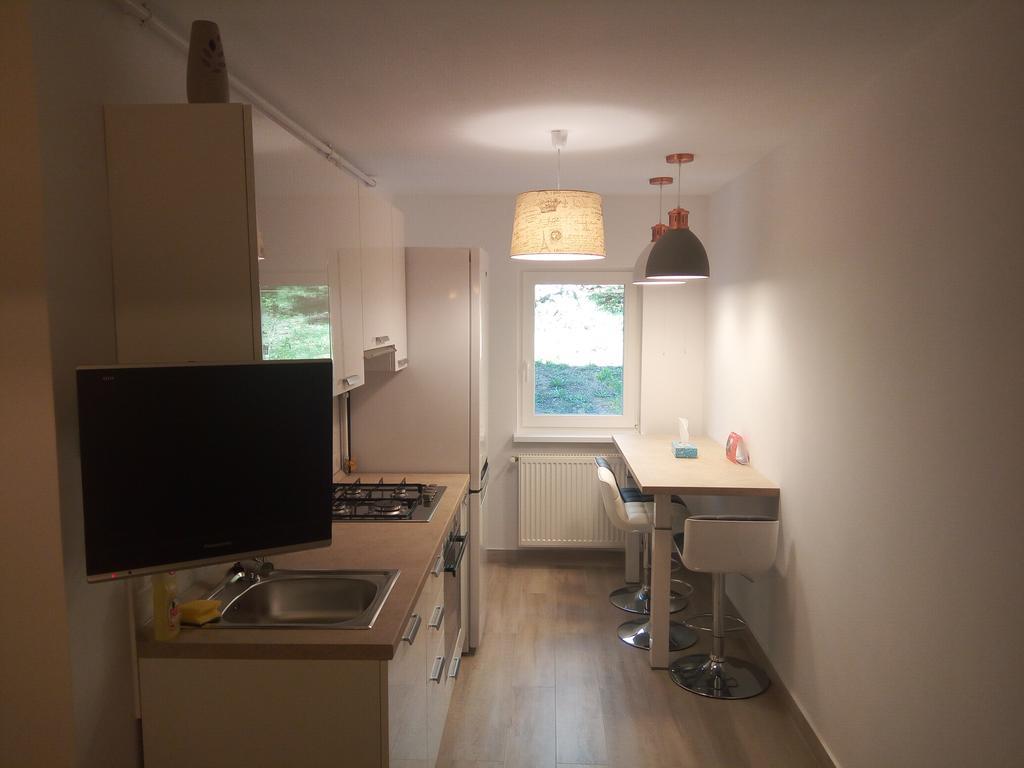 Lexy'S Apartment Braşov Dış mekan fotoğraf