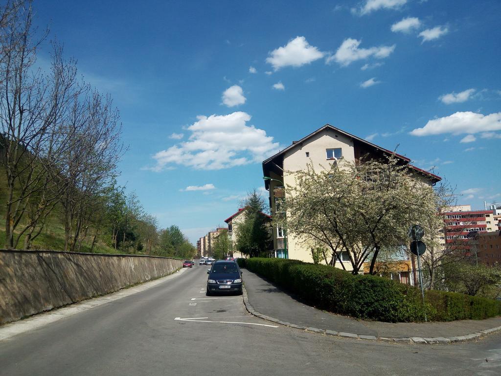 Lexy'S Apartment Braşov Dış mekan fotoğraf