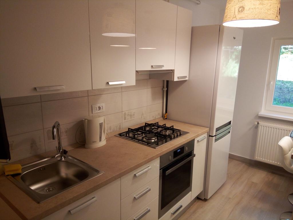 Lexy'S Apartment Braşov Dış mekan fotoğraf